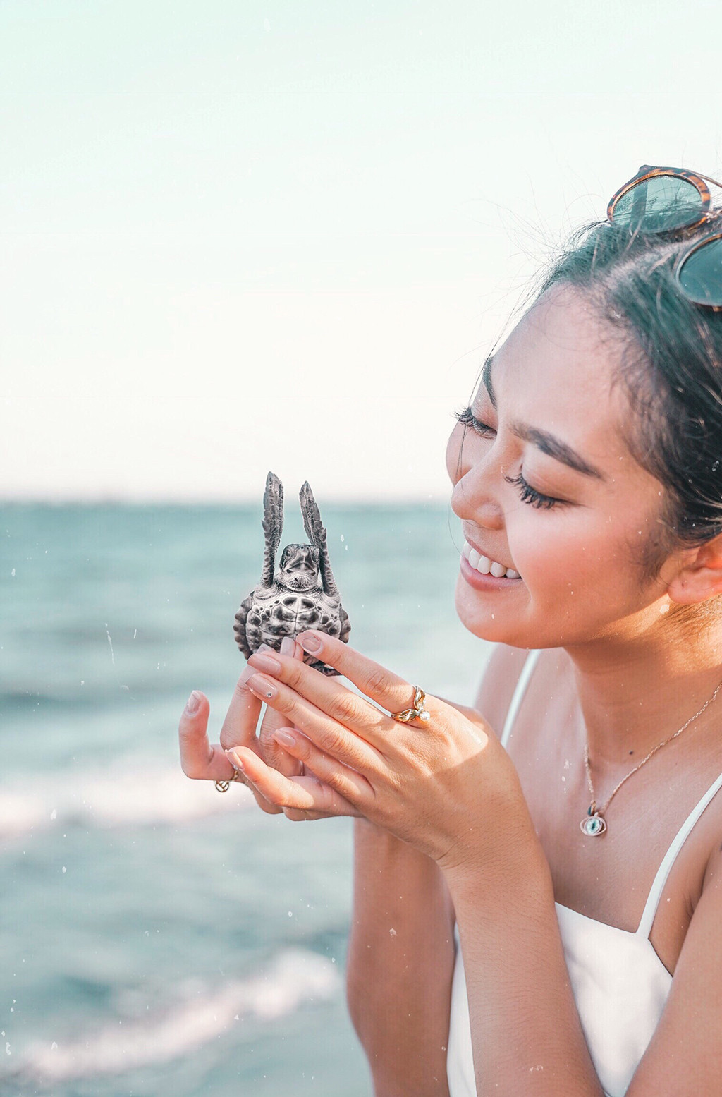 Saving Sea Turtles, The Sweet Life